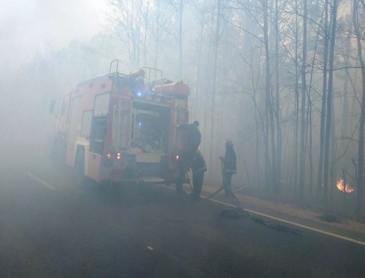 Пожар в Житомирской области. Фото: пресс-служба ГСЧС