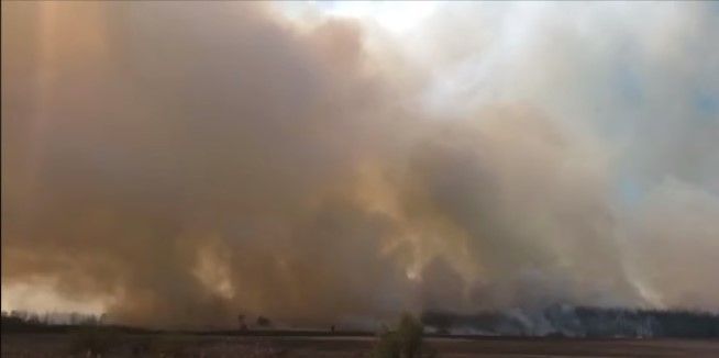 Пожар под Киевом. Скриншот видео 