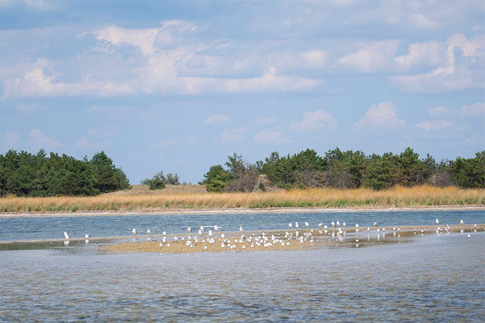 Відпочинок на Кінбурнській косі. Фото: khers-on.com