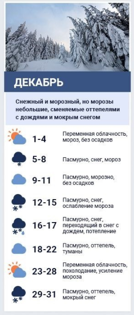 Погода в грудні від народного синоптика.  Колаж: Сьогодні