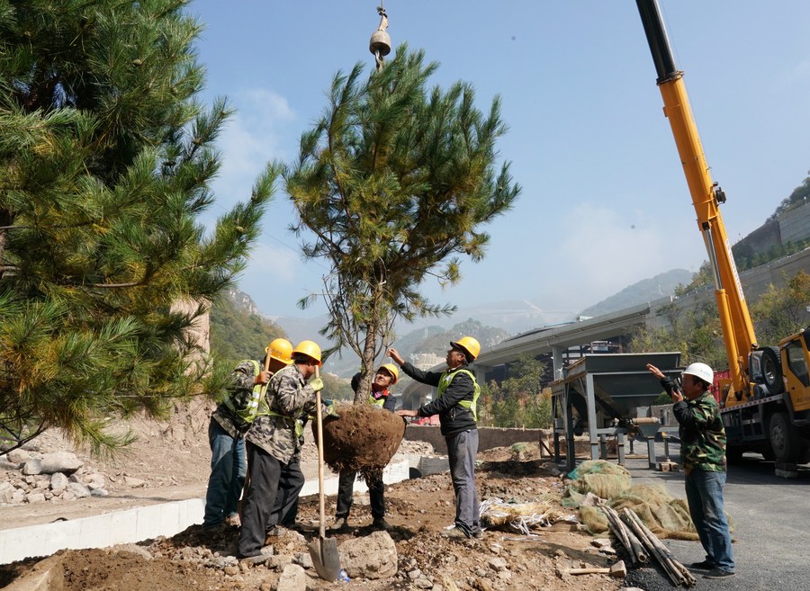 Beijing residents plant trees. Photo by Xinhua.