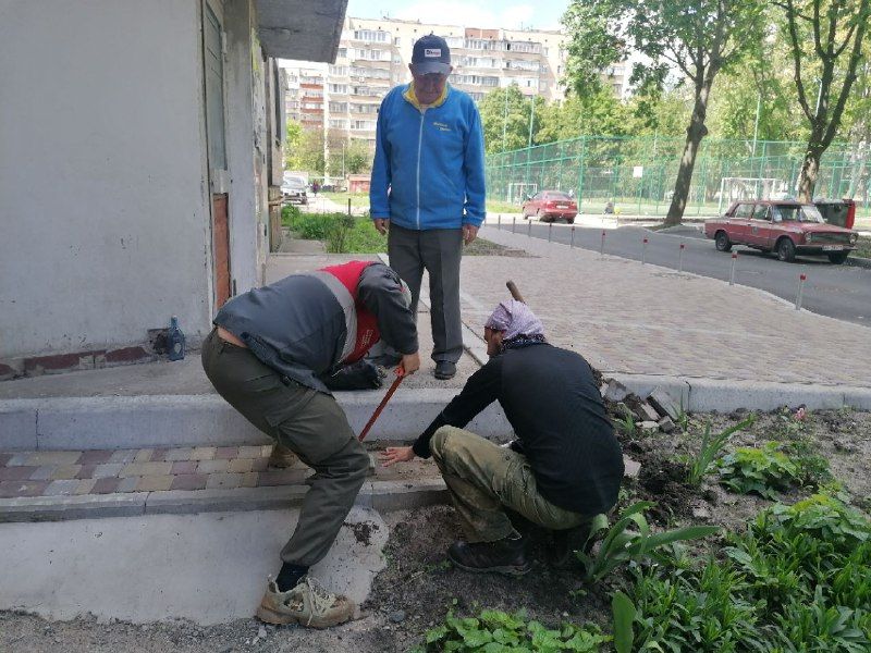 Порятунок їжаків.  Фото: Київський загін порятунку тварин.