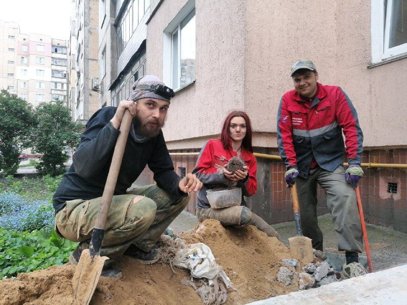 Порятунок їжаків.  Фото: Київський загін порятунку тварин.