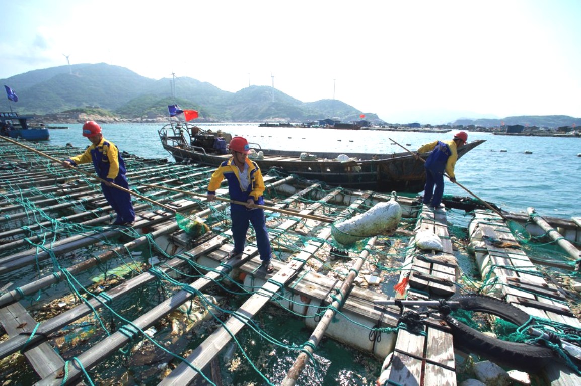 Cleaners clear the floating waste in the fish breeding rafts in Huangqi Township of Lianjiang County, east China's Fujian Province. Photo by Xinhua/Jiang Kehong.