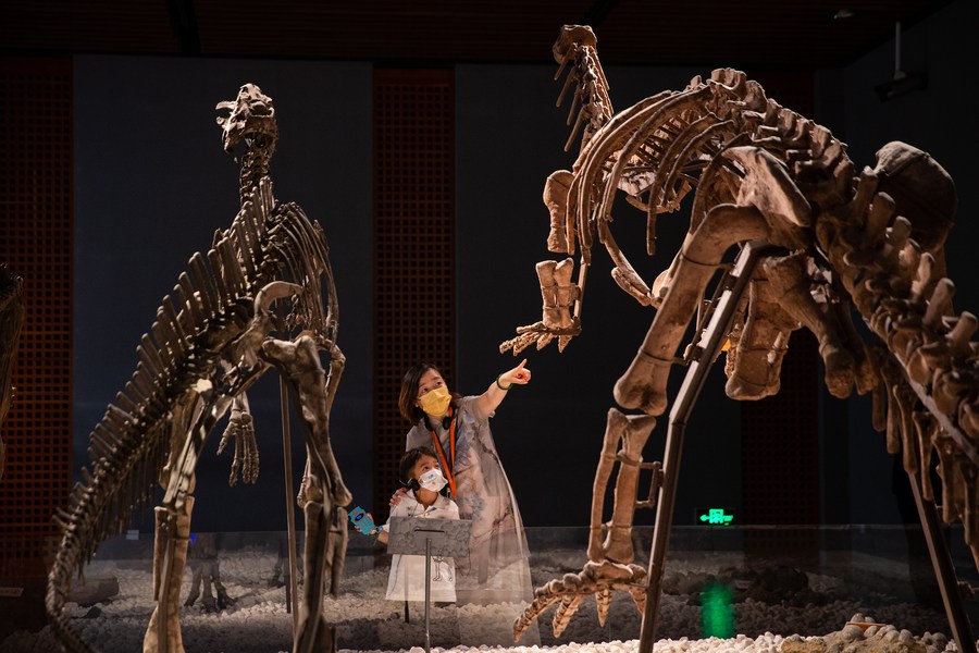 People watch dinosaur fossils at Nanjing Museum in Nanjing, east China's Jiangsu Province. Photo by Su Yang/Xinhua.