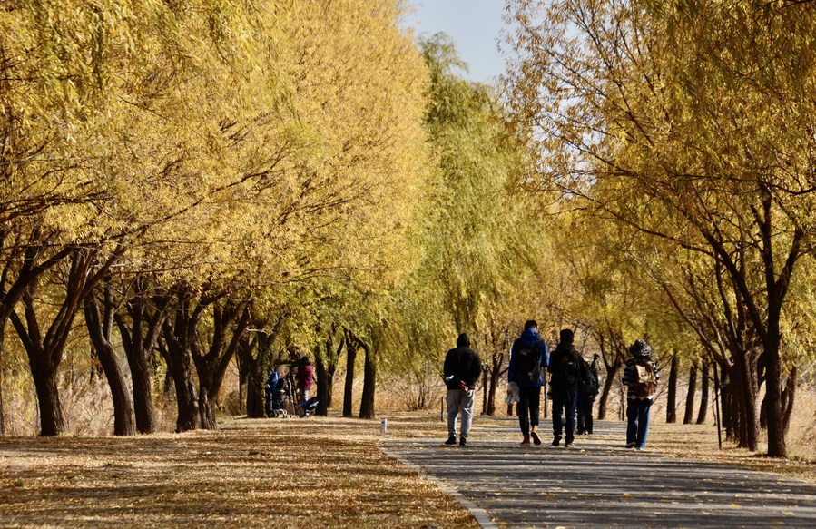 Beijing to complete 8,000-hectare ecological restoration. Photo by Xinhua.