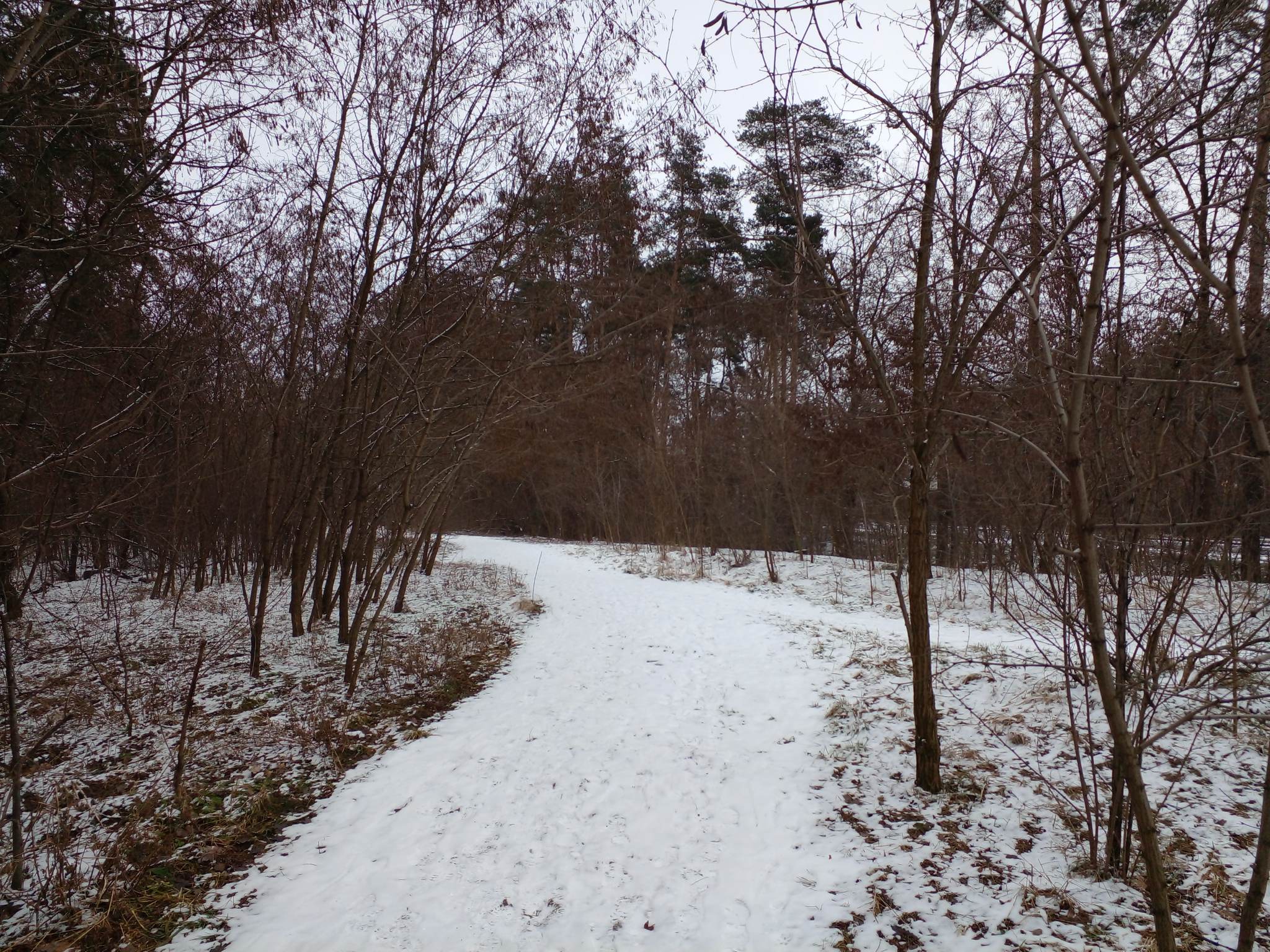 В столице будет прохладно