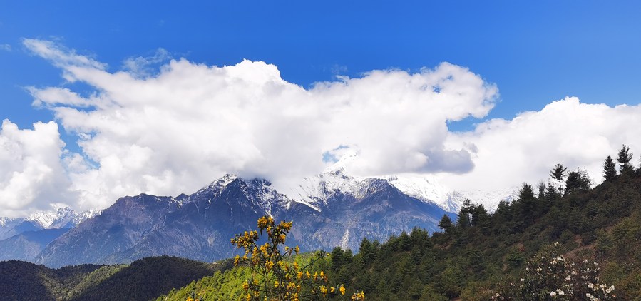 The scenery in Gyironggou of Gyirong County, southwest China's Tibet Autonomous Region. Photo by Xinhua/Shen Hongbing.