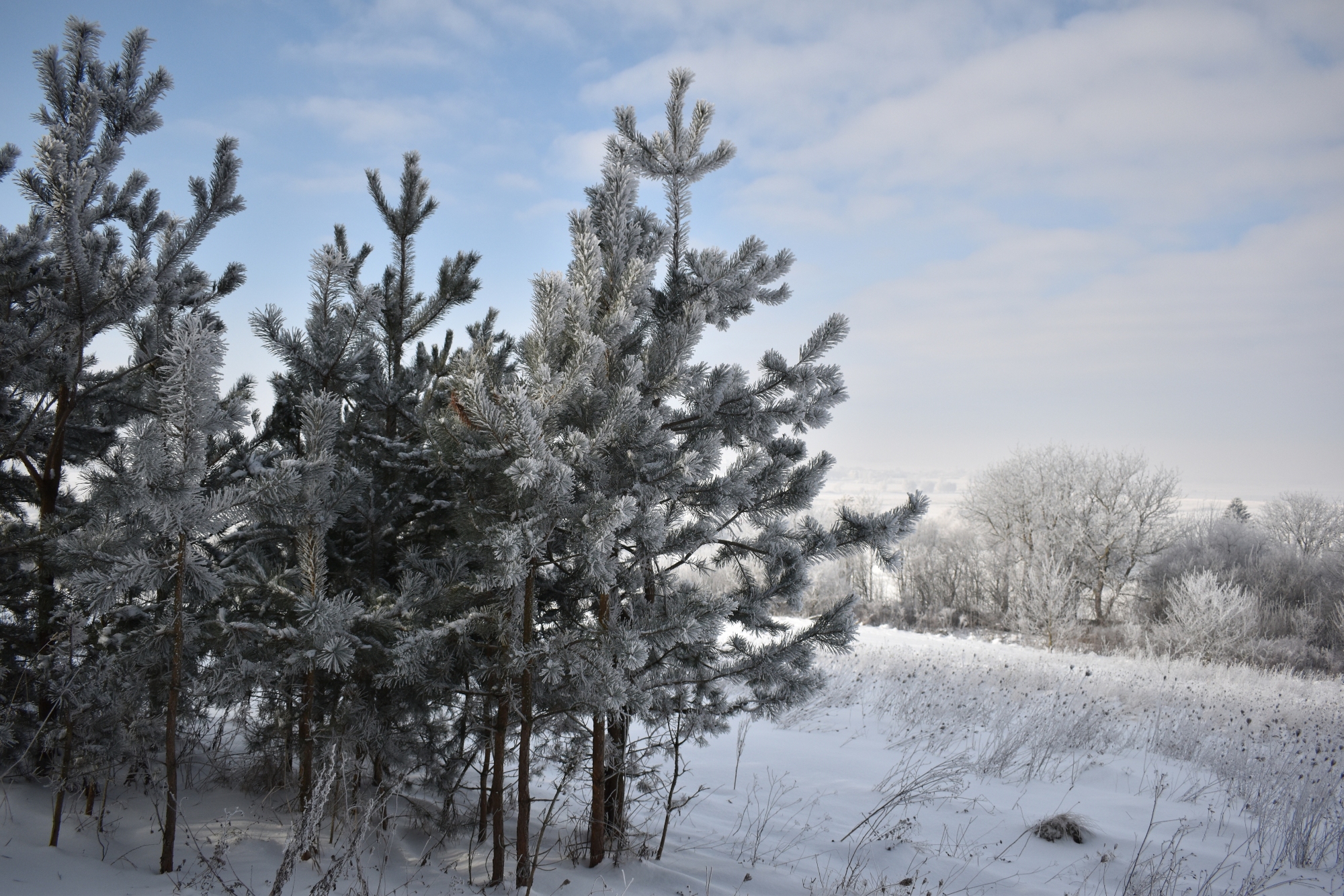 В Україні очікується невеликий сніг. Фото: Radiotrek.