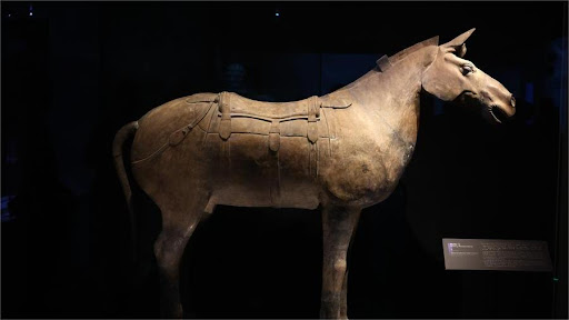 Cattle bone powder, first discovered in pottery bonding from China's ancient horse statue. Photo by Xinhua.