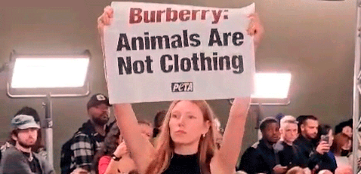 Зоозахисники PETA увірвалися на щорічні збори акціонерів Burberry. Фото: PETA