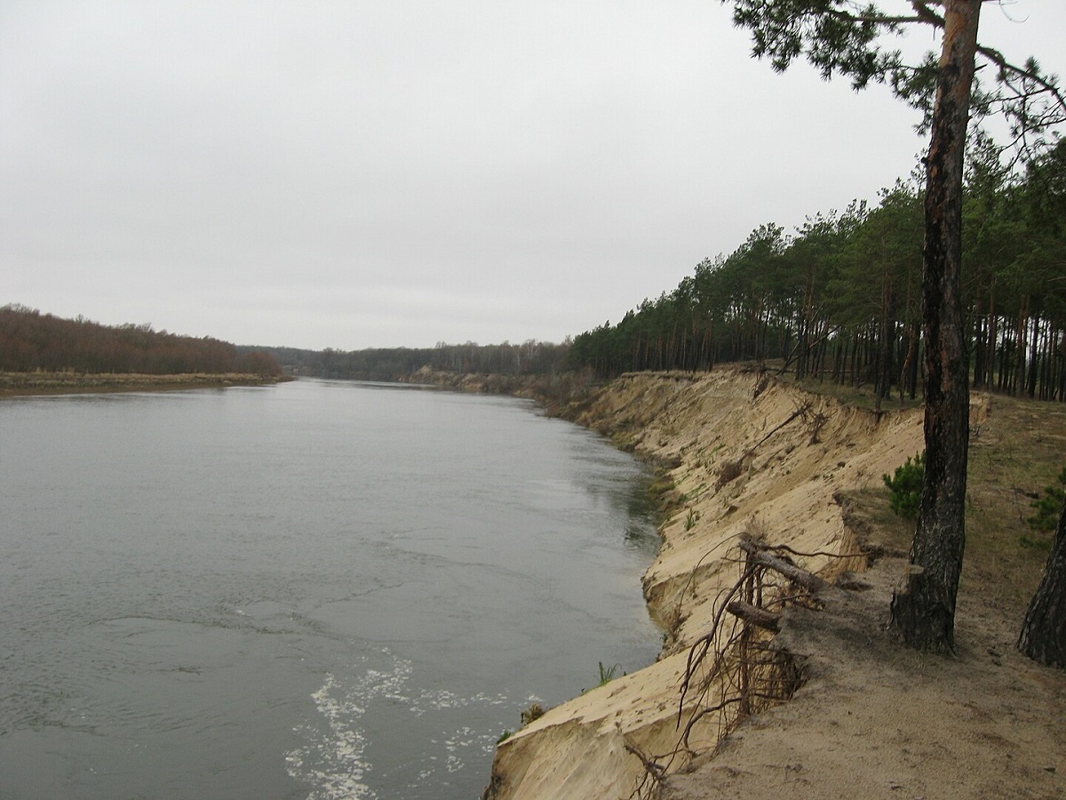 Десна. Фото: Вікіпедія