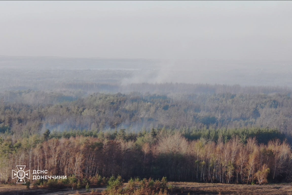 Пожежа у Донецькій області. Фото: ДСНС