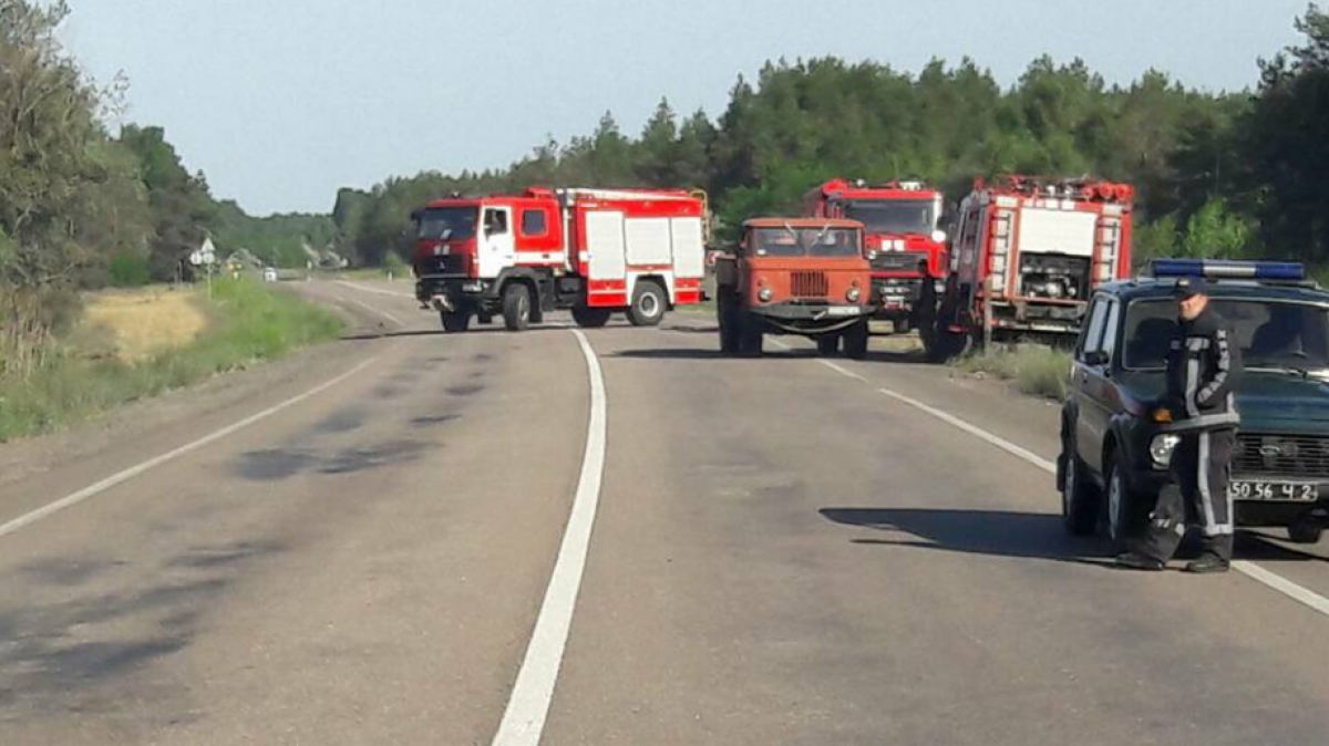 У Херсонській області загорівся ліс. Фото: Facebook/Олена Кравченко