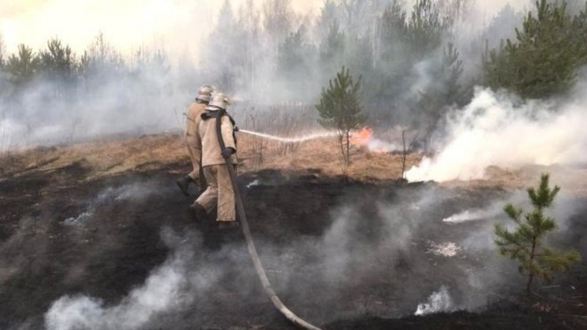 Пожар в Чернобыльской зоне. Фото: ГосЧС