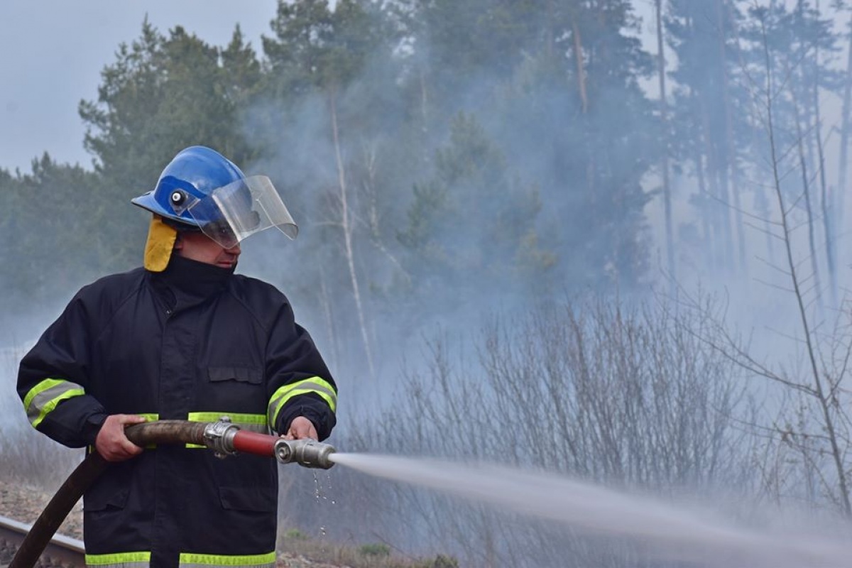 Пожежа в Житомирській області. Фото: ДСНС