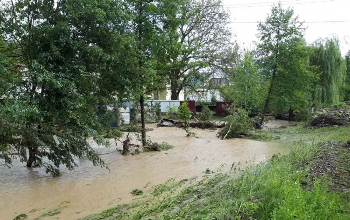 Затопленное село. Фото: Довжанська об'єднана територіальна громада