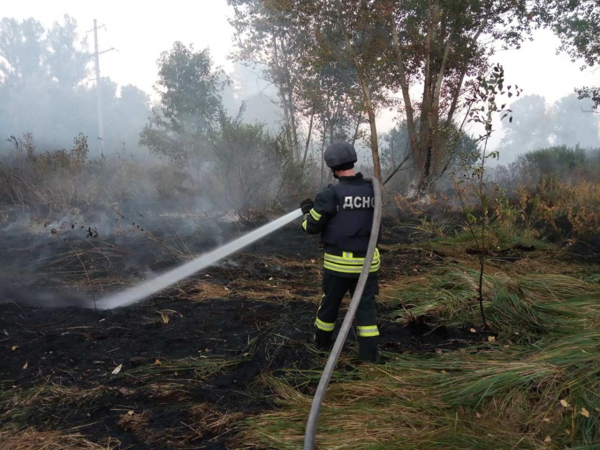 Пожежа в Луганській області. Фото: ДСНС
