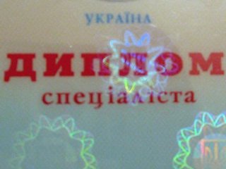 Дело возбуждено по статье о подделке документов.