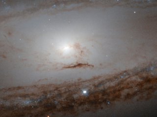 Галактика Messier 65 була відкрита Шарлем Мессьє в 1780 році.